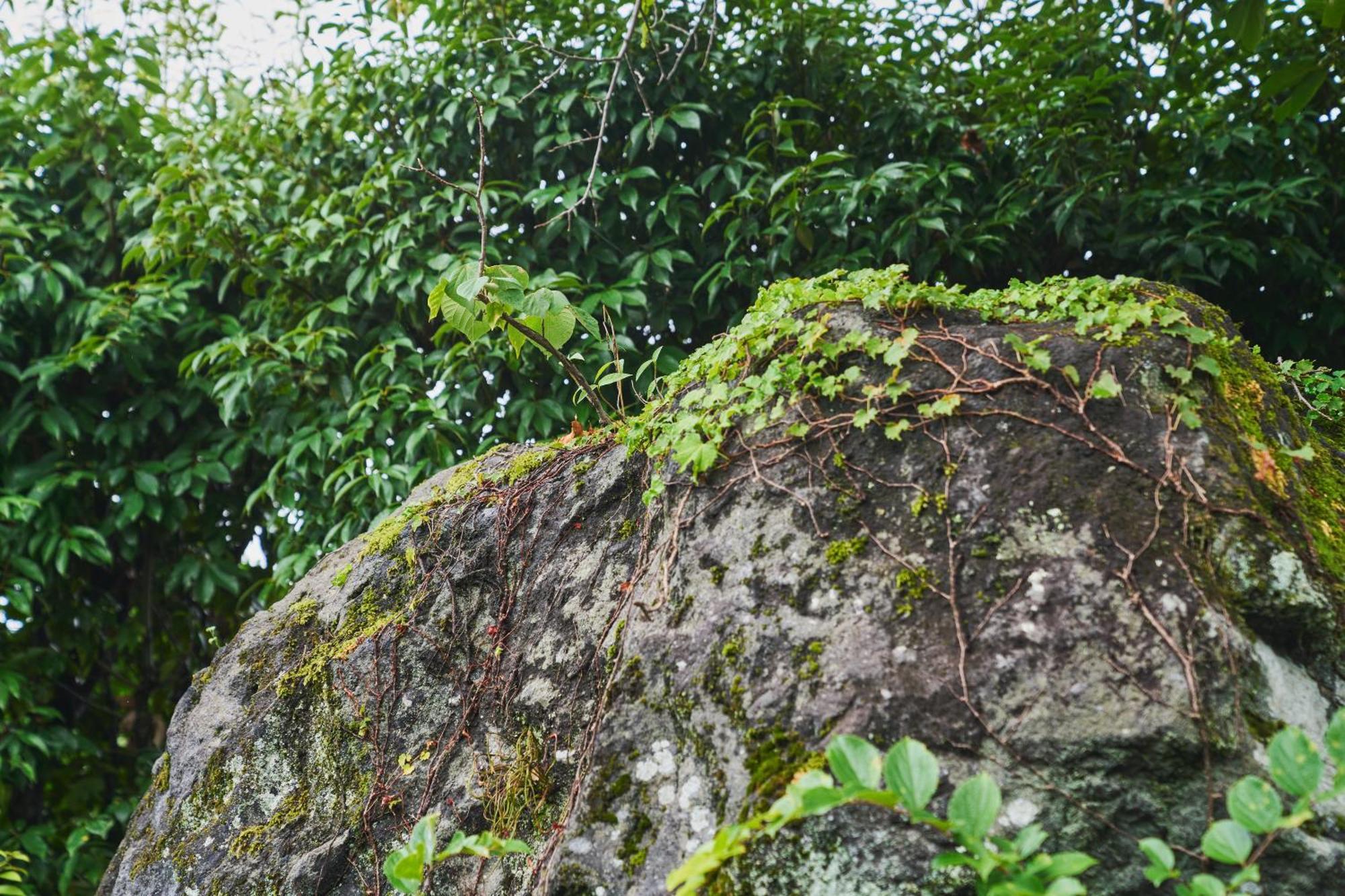 温泉付きの一軒家を借りよう Villa Beppu Buitenkant foto